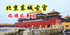 骚逼夹得好爽视频中国北京-东城古宫旅游风景区